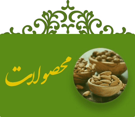 صفحه اصلی