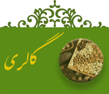 صفحه اصلی